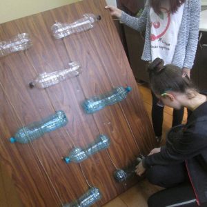 Amenajarea unei grădini verticale în cadrul orelor de educație tehnologică la modulul Designul spațiilor verzi.  Pedagog Luchianov Tatiana și elevii claselor a VII-a și VIII-a.