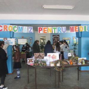 Desfășurarea activității de totalizarea proiectului Crocmaz pentru mediu.