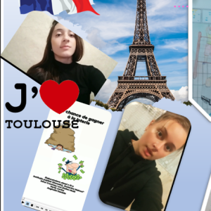 Elevele ce au participat la concursul de limbă franceză